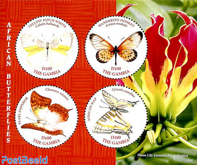 Butterflies 4v m/s