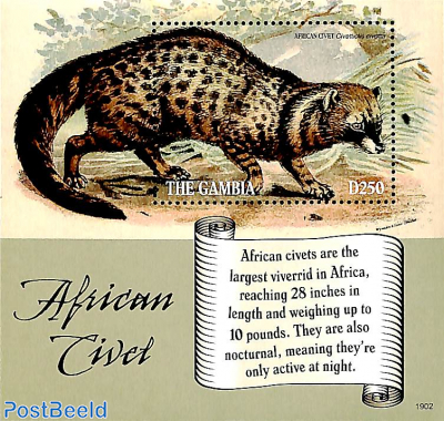 African Civet s/s