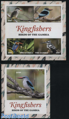 Kingfishers 2 s/s