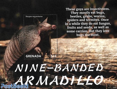 Nine-Banded Armadillo s/s