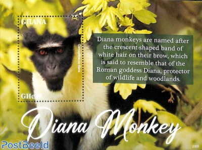 Diana Monkey s/s