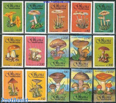 Mushrooms 15v