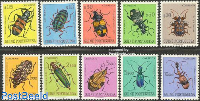 Insects 10v