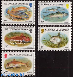 Fish 5v