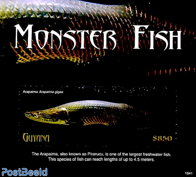 Monster fish s/s