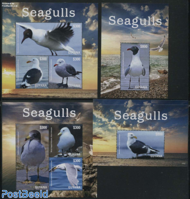 Seagulls 4 s/s