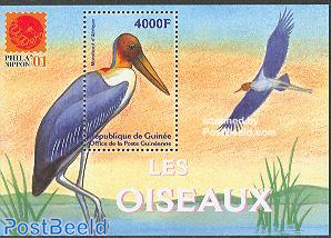 Birds s/s /Marabout dAfrique