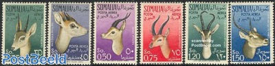 Antelopes 6v