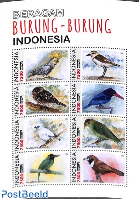 Beragam Burung-Burung 8v m/s