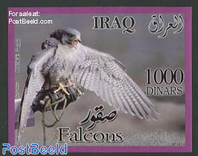 Falcons s/s