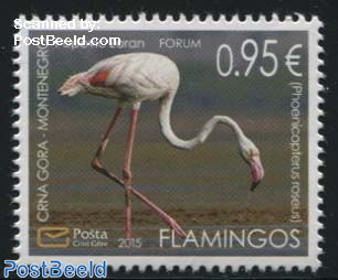 Flamingo 1v