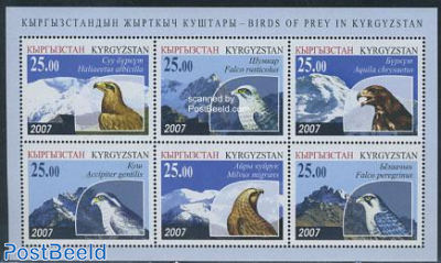 Birds of Prey 6v m/s
