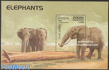 Elephants s/s
