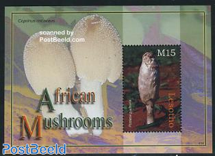 African mushrooms s/s