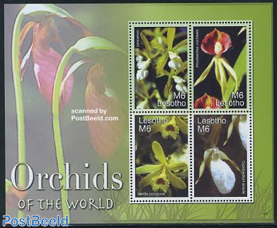 Orchids of the world 4v m/s