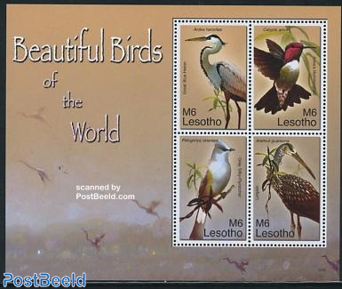 Beautiful birds 4v m/s