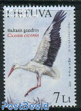 White Stork 1v