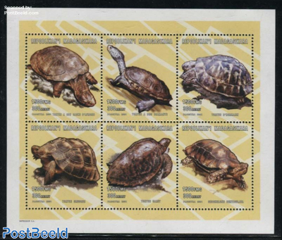 Turtles 6v m/s (6x150fmg)