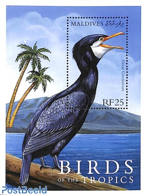 Great Cormorant s/s