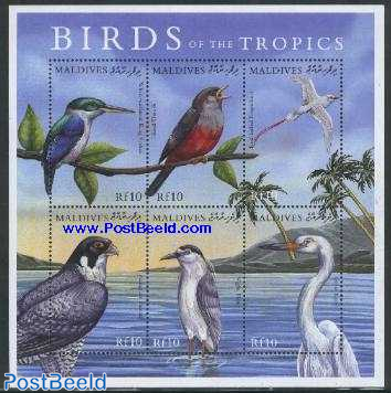 Birds 6v m/s, white colla-