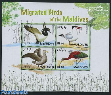 Migrated birds of the Maldives 4v m/s