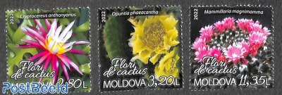 Cactus flowers 3v