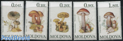 Mushrooms 5v