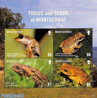 Frogs 4v m/s