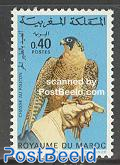 Falcon 1v