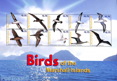 Birds 10v m/s