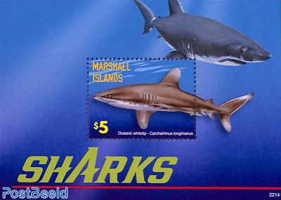 Sharks s/s