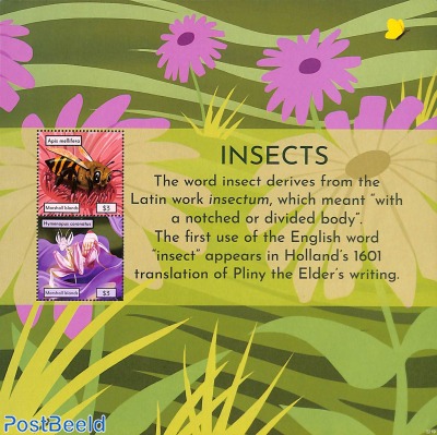 Insects 2v m/s