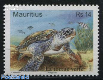 Green Turtle 1v, Joint Issue France, Seychelles, TAAF, Comoros, Madagascar