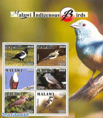 Indigenous birds 6v m/s