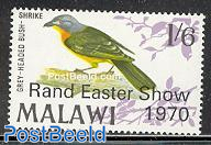 Rand Easter show 1v