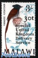 Special U.K. delivery service 1v