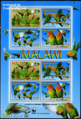 Lilians lovebird m/s (with 2 sets)