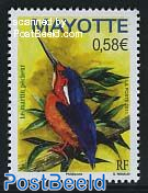 Kingfisher 1v