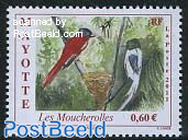 Birds, Les Moucherolles 1v
