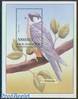 Bird (Falco subbuteo) s/s