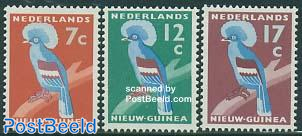 Crown Pigeon 3v