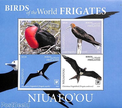 Frigate birds 4v m/s