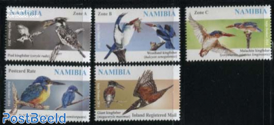 Kingfishers 5v