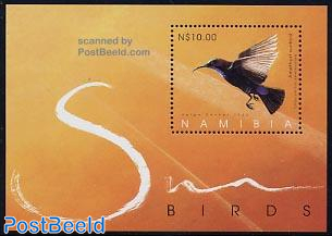Amethyst sunbird s/s