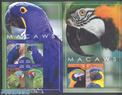 Macaw 2 s/s