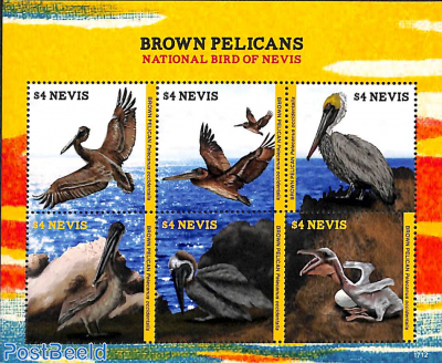Brown Pelicans 6v m/s