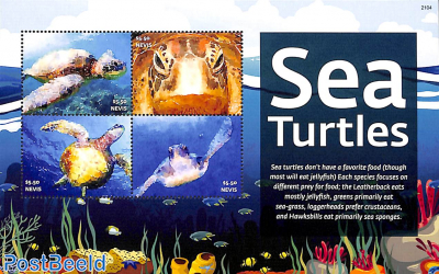 Sea turtles 4v m/s