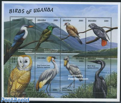 Birds 8v m/s (8x500)