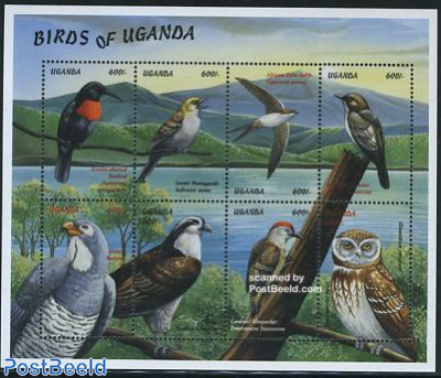 Birds 8v m/s (8x600)
