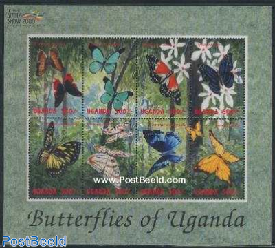 Butterflies 8v m/s (8x500)
